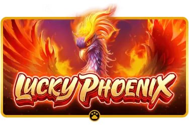 vk999
